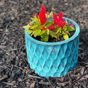 👜😍❤️🔥🌼🌸🌼